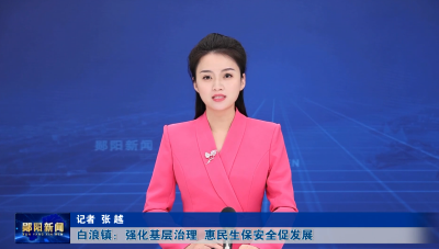 白浪镇：强化基层治理  惠民生保安全促发展