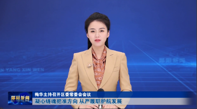 梅华主持召开区委常委会会议 凝心铸魂把准方向 从严履职护航发展