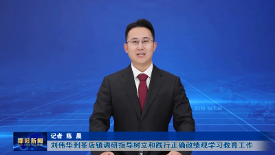 刘伟华到茶店镇调研指导树立和践行正确政绩观学习教育工作