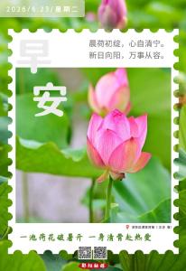 遇见郧阳｜郧阳主场！湖北第四届村BA总决赛8月鸣哨