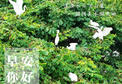遇见郧阳丨名额40人！郧阳区暑期爱心托管班报名通道已开启