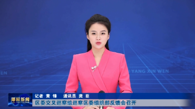 区委交叉巡察组巡察区委组织部反馈会召开