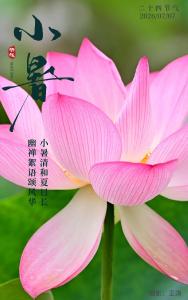 遇见郧阳丨免费带娃！郧阳区51个爱心托管班全面开班