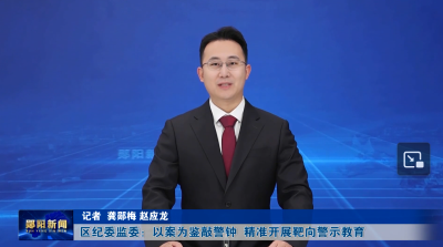 区纪委监委：以案为鉴敲警钟  精准开展靶向警示教育
