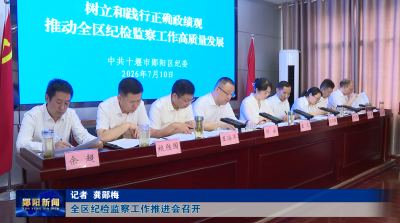 全区纪检监察工作推进会召开
