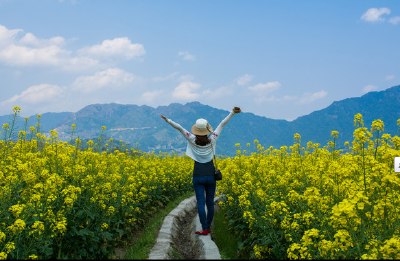 马旭明在远安调研时提出：立足资源禀赋发展乡村旅游
