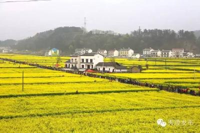 分乡镇：撸起袖子加油干 谱写分乡新篇章