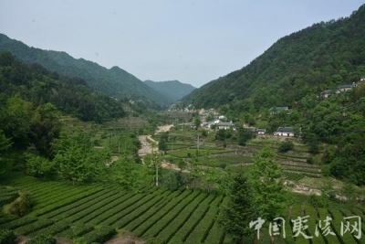 夷陵区加快推进“绿满夷陵” 建设“富美夷陵”