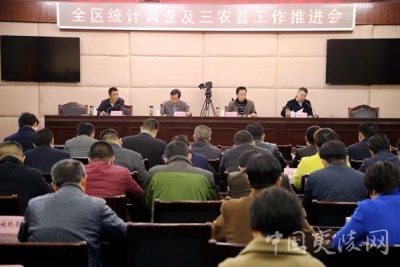 全市统计及调查工作电视电话会议召开