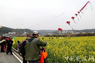 “醉美花海 乐游分乡” 万亩油菜花海迎游客