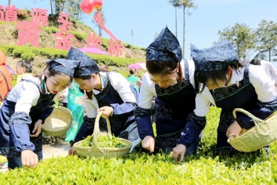 “世界茶树生长黄金坐标 万里茶道源头”在邓村乡揭牌 