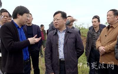 王平昌调研督办园林城市管理和垃圾污水处理项目建设工作
