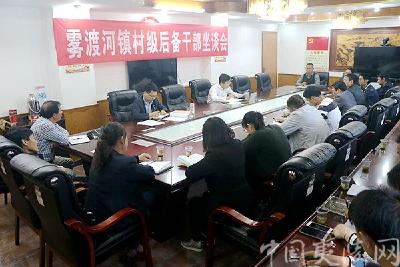 夷陵区​雾渡河镇召开村级后备干部座谈会