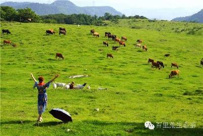 宜昌百里荒景区被批准为国家4A景区
