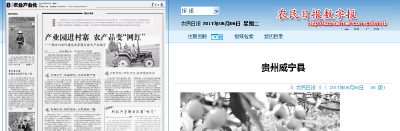 农民日报：生态茶园示范推广果茶产业