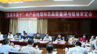 “宜昌木姜子”通过国家地理标志申报评审初审