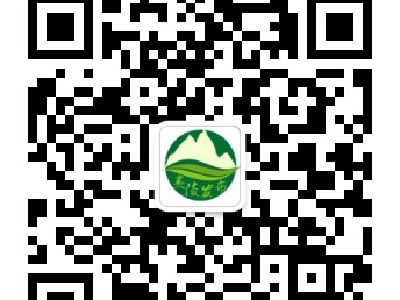 夷陵区官方微信公众号《夷陵发布》改版升级