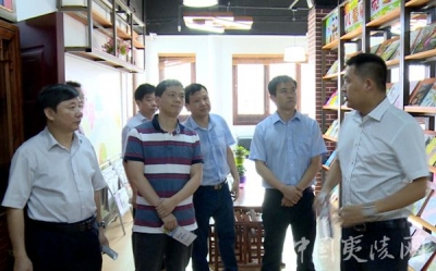 省督查组督查夷陵区公共文化服务体系示范区创建工作