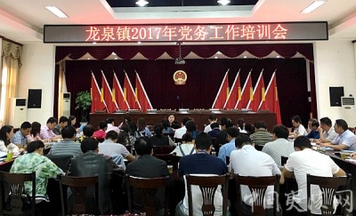 ​龙泉镇召开2017年党务工作培训会议