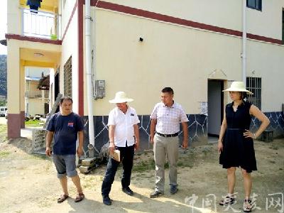 ​加温升格 下堡坪民宿建设如火如荼