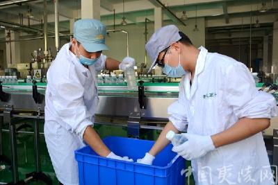 【人社局】夷陵区人社局走访“圆梦夷陵”实习实训大学生