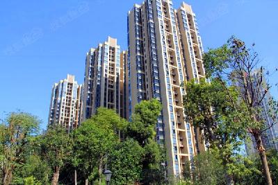润城社区积极参与文明创建“三连冠”工作
