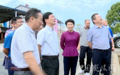 湖北省水利厅调研夷陵区水利改革发展工作