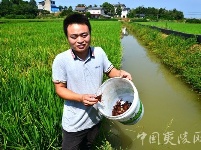 鸦鹊岭镇“四轮”驱动 农业供给侧改革插上腾飞翅膀