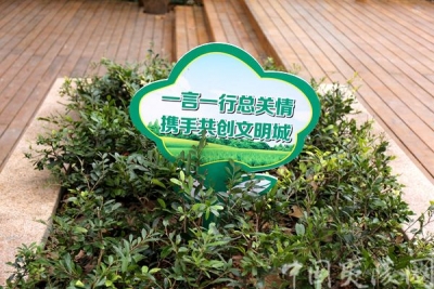 【区卫计局】夷陵区卫计综合监督执法局坚持“五结合” 助力文明创建