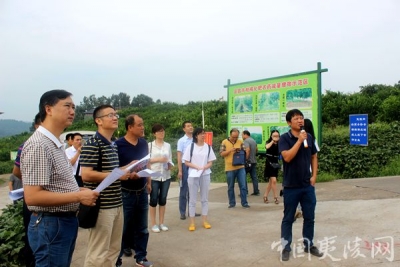 海市静安区南京西路街道与商会考察对接夷陵电商