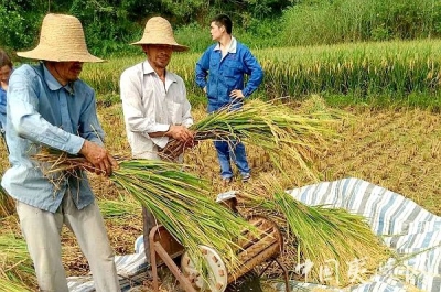 小溪塔街道：小小网格员 发挥大作用