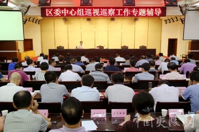 夷陵区委中心组集中学习 提升理论素养和执政能力
