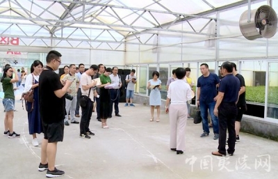 中央、省、市主流媒体来夷陵区集中采访调研