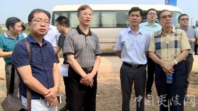 商务部调研夷陵区康养产业发展情况