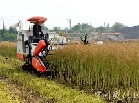 鸦鹊岭镇“四轮”驱动 农业供给侧改革插上腾飞翅膀
