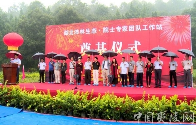 湖北沛林公司珍稀植物全自动化育苗工厂暨院士专家团队工作站落户夷陵区