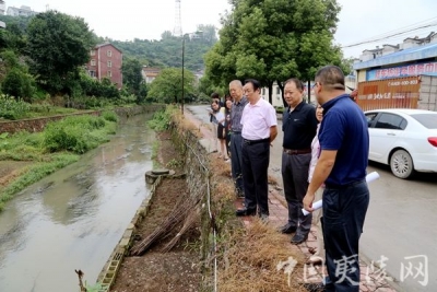 夷陵区政协视察罗河路改造项目
