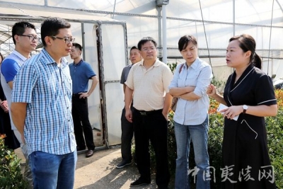  【区科技局】湖北省科技厅调研夷陵区“星创天地”项目建设情况