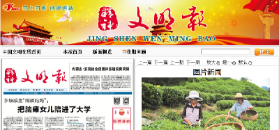 精神文明报：采摘秋茶
