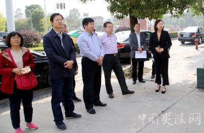 山东省寿光市政协考察组来夷陵区考察城市管理工作