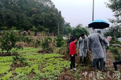 快速行动 质效兼顾 全力确保港窑路开工建设