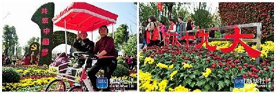 新华社：十余万盆菊花靓乡村