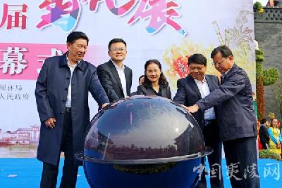 宜昌市第32届菊花展在夷陵区龙泉古镇盛大开幕