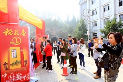 【区广播电视台】夷陵区广播电视台喜迎记者节聚焦菊花展