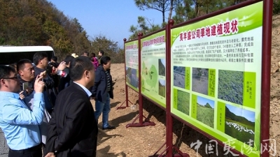 全省南方现代草地畜牧业推进行动现场观摩培训会在夷陵区召开