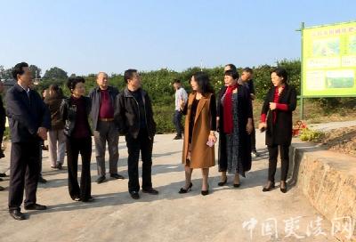 翠林投资集团董事长王忠明来夷考察农业产业项目 