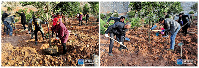 新华社客户端：黄柏河流域植树添绿 构筑三峡生态屏障