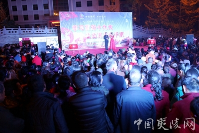 鸦鹊岭镇“文化惠民走千家”送戏下乡活动结束