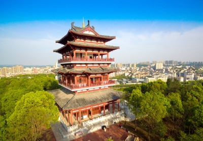 汪宏斌推介夷陵区森林旅游先进经验