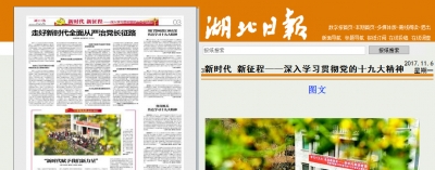 湖北日报：农家院坝宣讲十九大精神
